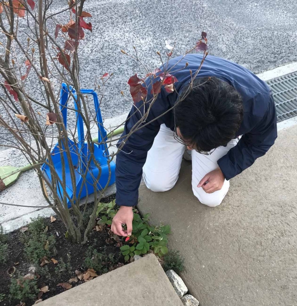 木ままオフィス　庭