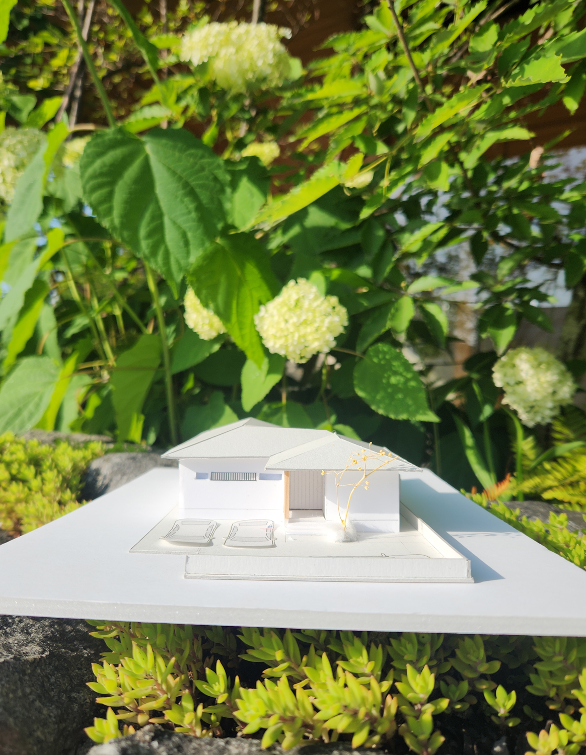 素sūのいえ（平屋）建物完成見学会in総社
