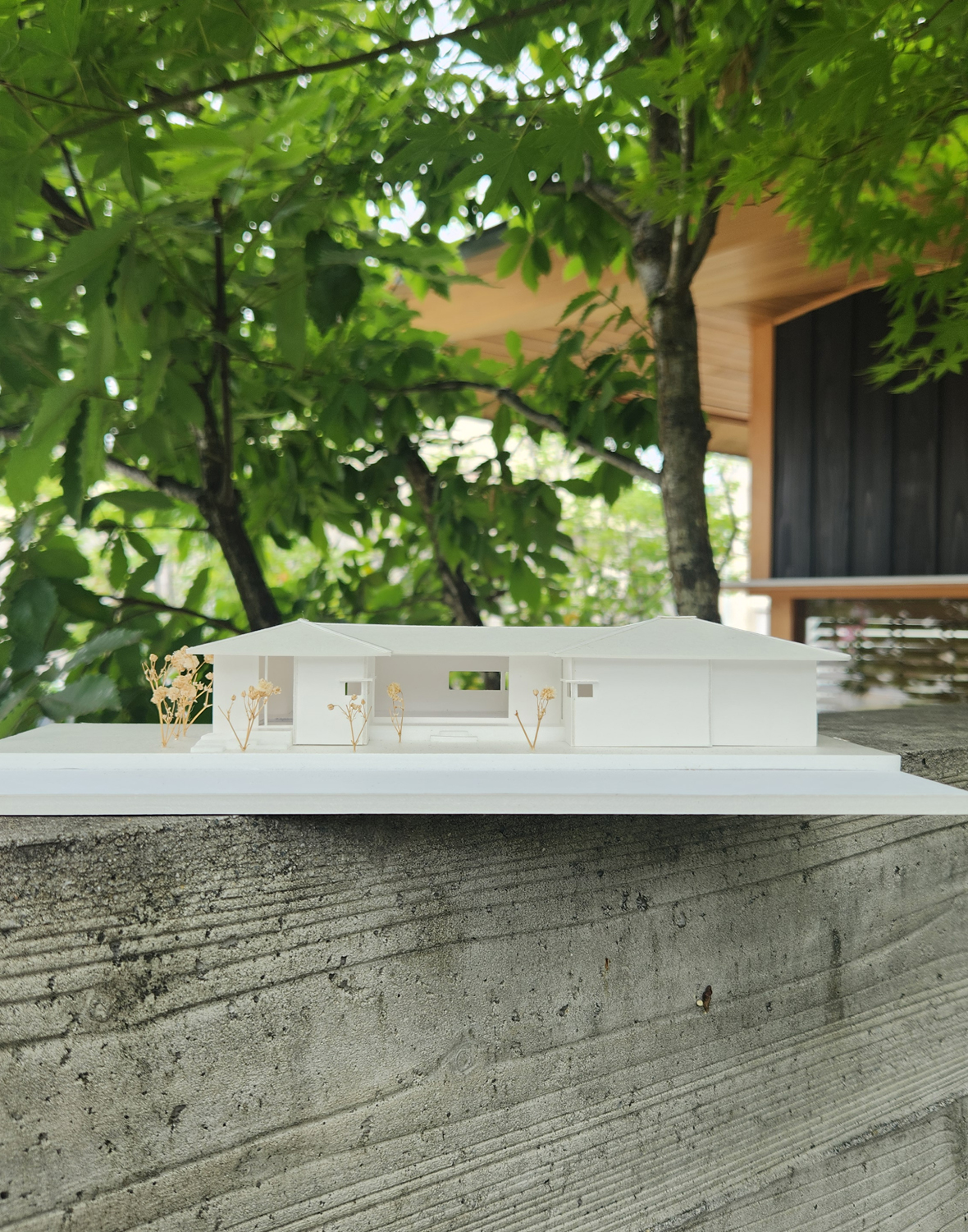 みんなのいえ（平屋）建物完成見学会in倉敷