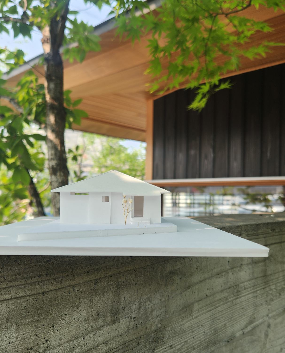 杜和(とわ)のいえ（平屋）建物完成見学会in倉敷