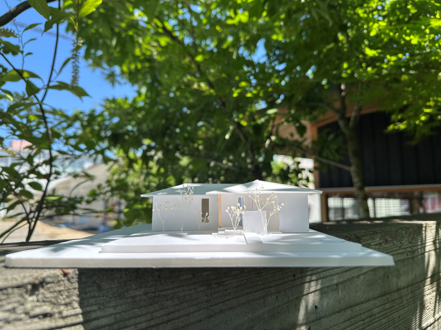 山吹のいえ（平屋）建物完成見学会in岡山市南区