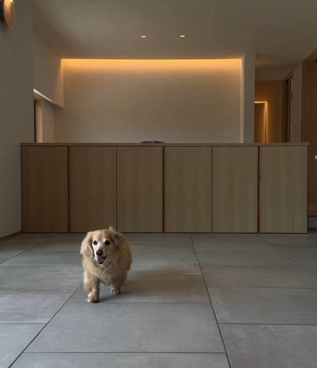 2棟同時　薪(たきぎ)のいえ（平屋）建物完成見学会＋うつろう家（平屋）暮らすいえ見学会