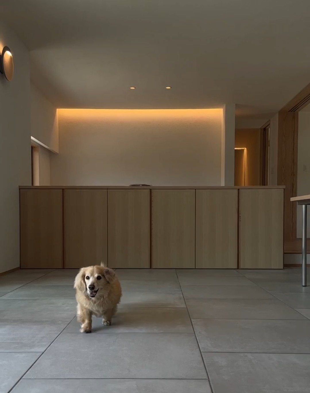 2棟同時　薪(たきぎ)のいえ（平屋）建物完成見学会＋うつろう家（平屋）暮らすいえ見学会