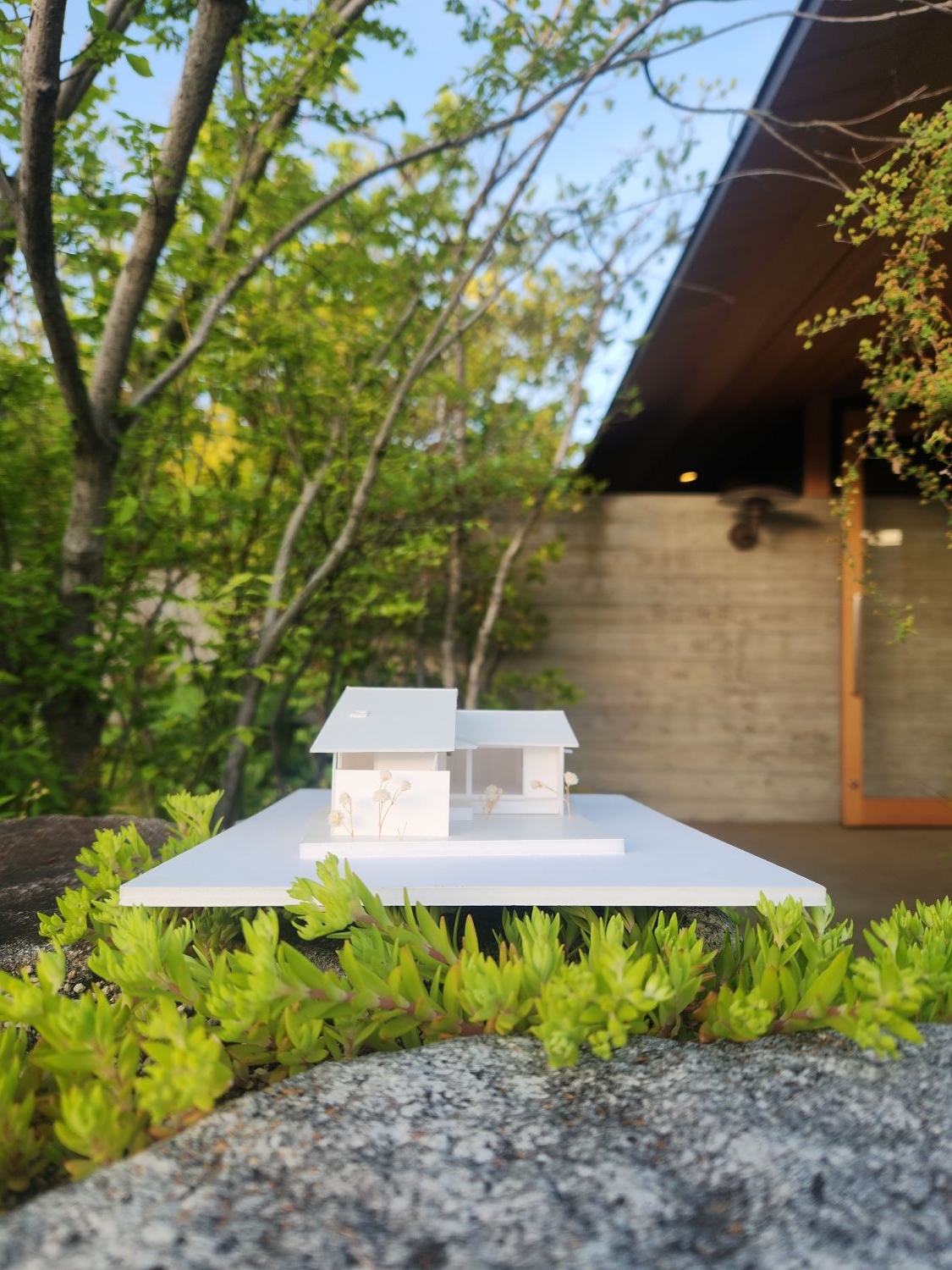 仄(ほのり)のいえ（平屋）建物完成見学会