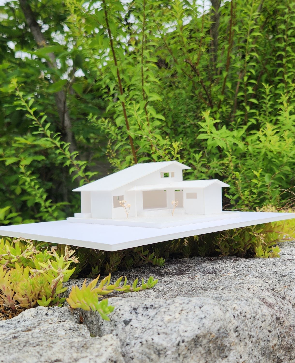 山茶花（さざんか）のいえ（半平屋）建物完成見学会